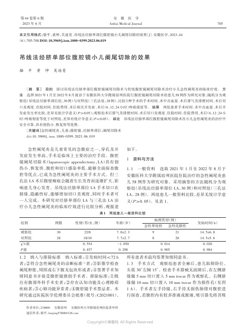 吊线法经脐单部位腹腔镜小儿阑尾切除的效果