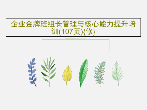 企业金牌班组长管理与核心能力提升培训(107页){修}PPT109页