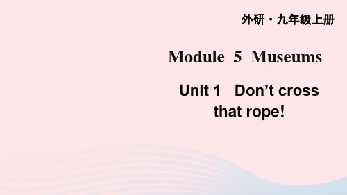 九年级英语上册 Module 5 Museums Unit 1词汇课件(新版)外研版