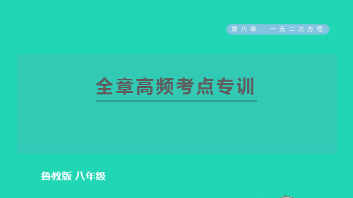 2022春八年级数学下册第八章一元二次方程全章高频考点专训习题课件鲁教版五四制ppt