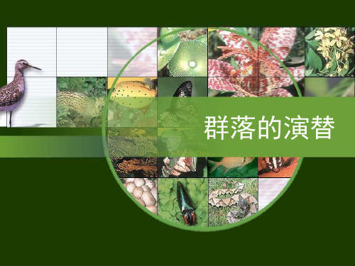 群落的演替-公开课课件