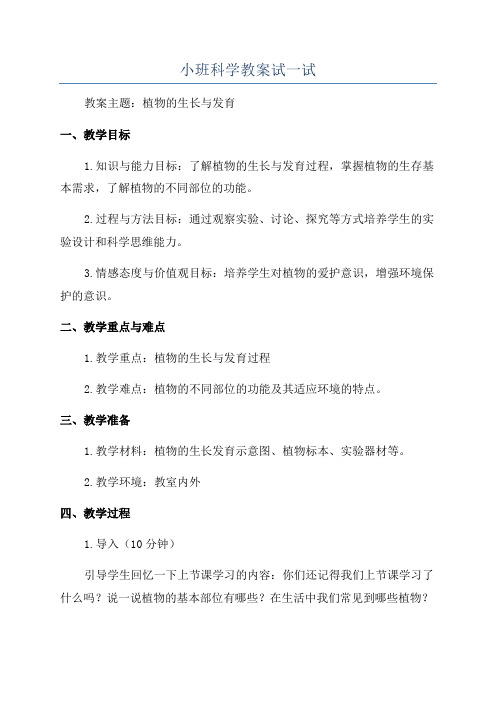 小班科学教案试一试