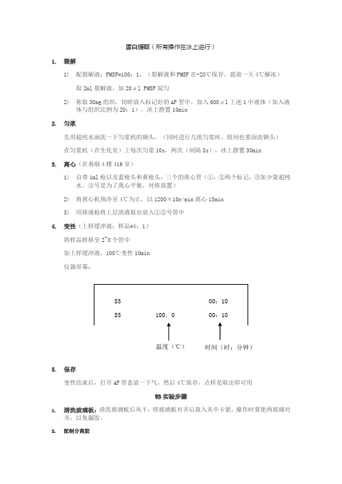 WB实验步骤详细总结