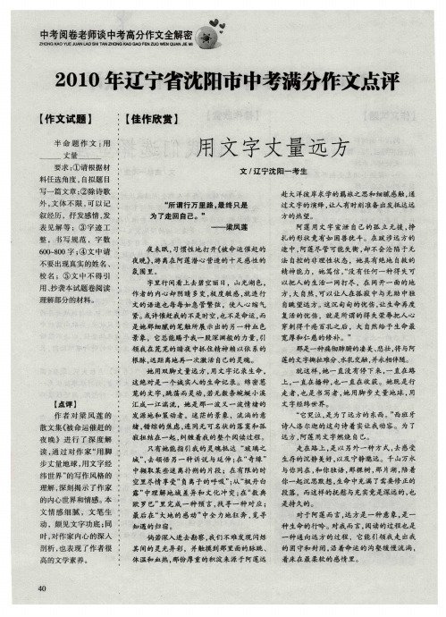 2010年辽宁省沈阳市中考满分作文点评