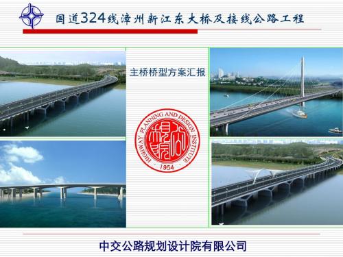 漳州新江东特大桥及接线公路工程主桥桥型方案汇报