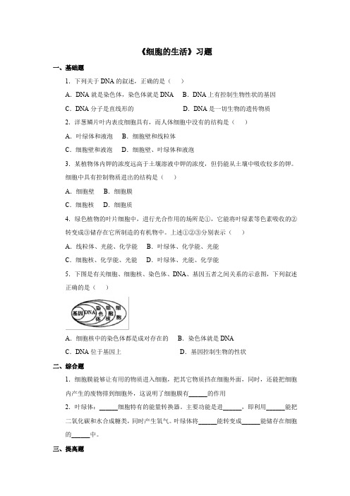 2.1.4   《细胞的生活》习题