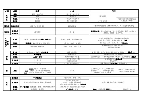 系统解剖学-肌肉起止点