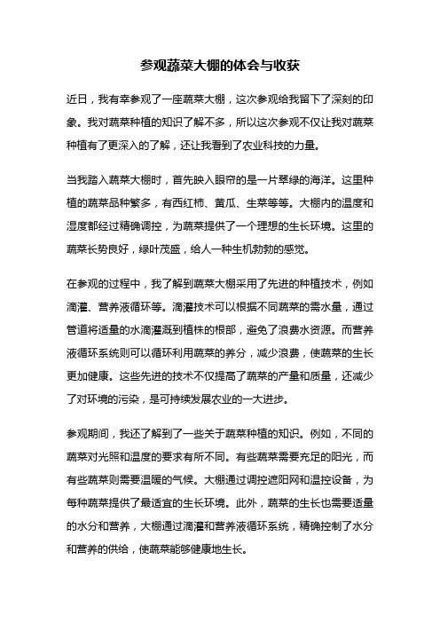 参观蔬菜大棚的体会与收获