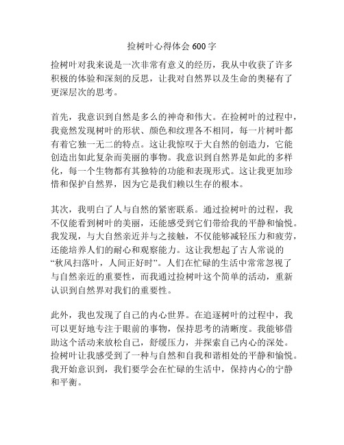 捡树叶心得体会600字