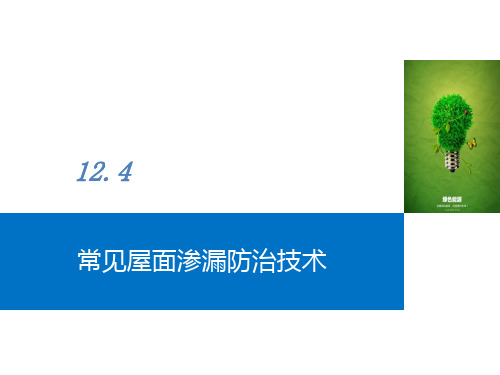 建筑施工技术课件图文-常见屋面渗漏防治技术地下防水工程