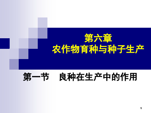 6第六章  作物育种与良种繁育