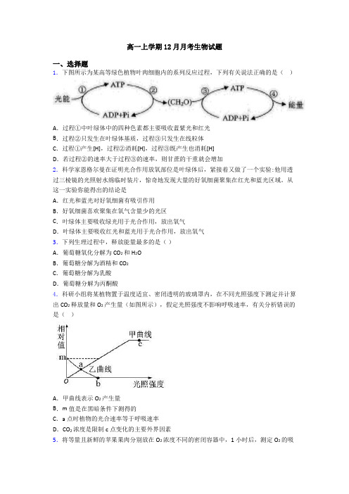 高一上学期12月月考生物试题