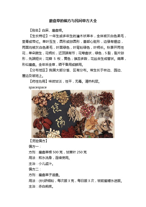 磨盘草的偏方与民间单方大全