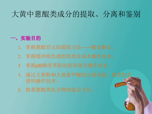 大黄中蒽醌类成分的提取 - 大黄中蒽醌类成分的提取、分离和鉴别