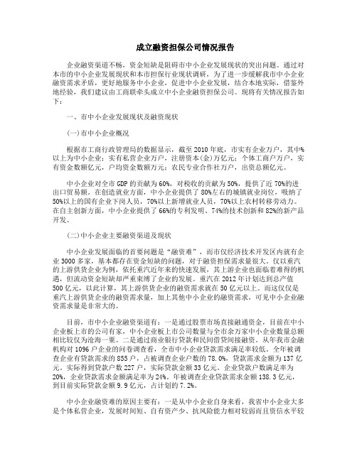 成立融资担保公司情况报告