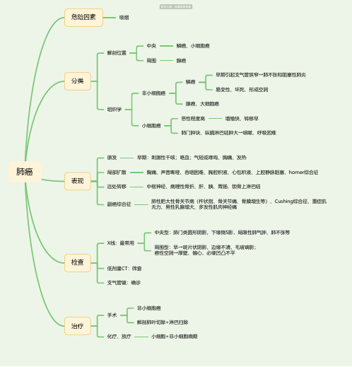 肺癌思维导图-简单高清脑图_知犀