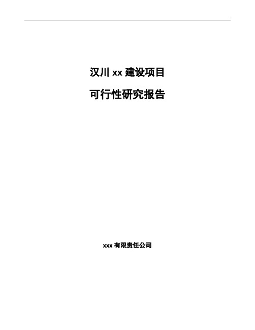 汉川项目可行性研究报告(投资计划书)