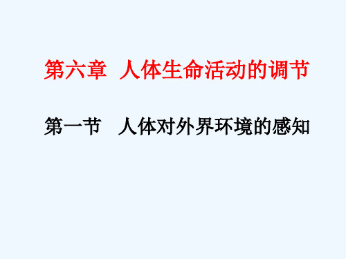 生物人教版七年级下册眼睛的结构及视觉形成