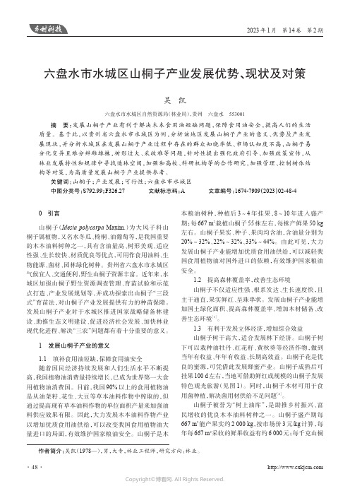 六盘水市水城区山桐子产业发展优势、现状及对策