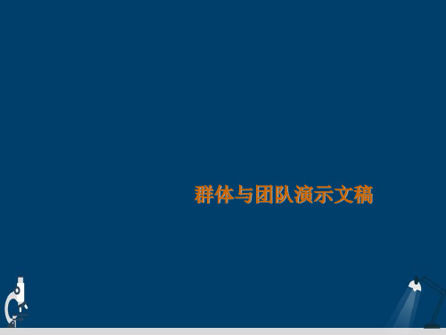 群体与团队演示文稿