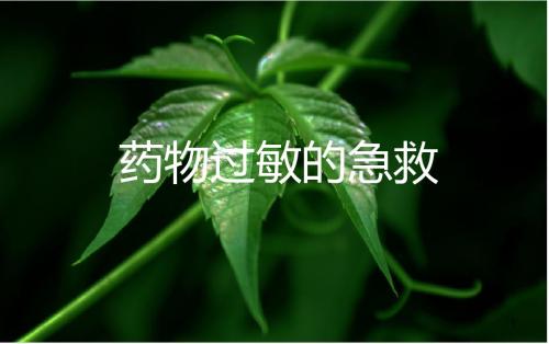 药物过敏的急救PPT课件