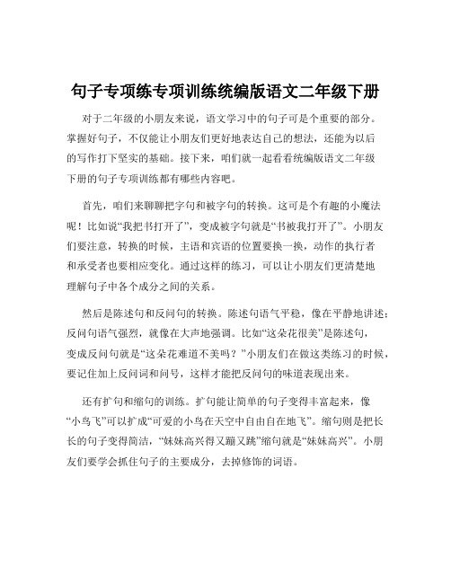 句子专项练专项训练统编版语文二年级下册