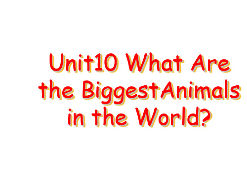Unit10_Which animals are the biggest animals in the world