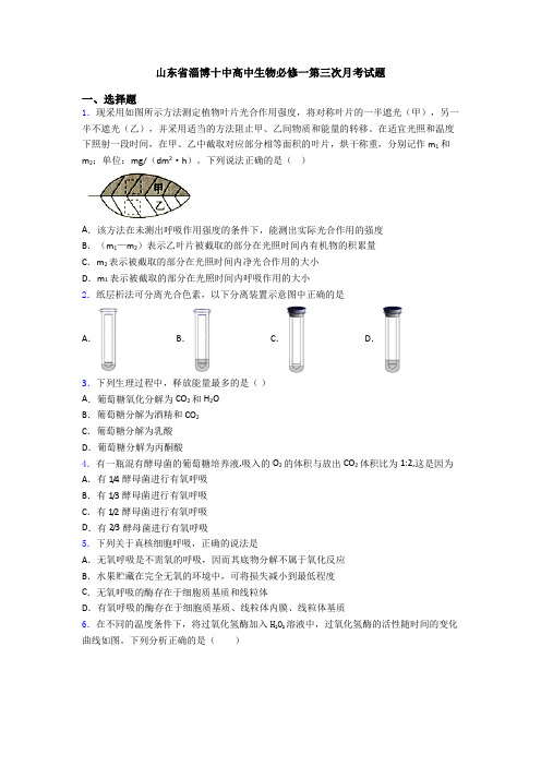 山东省淄博十中高中生物必修一第三次月考试题