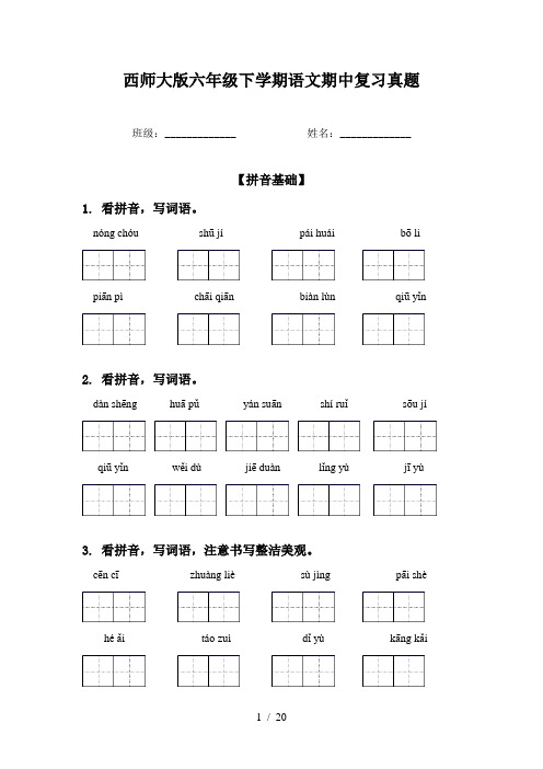 西师大版六年级下学期语文期中复习真题