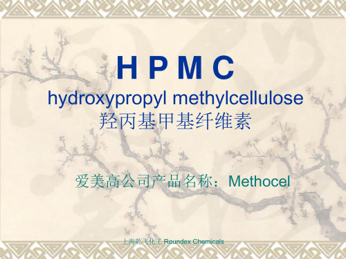 HPMC_CN