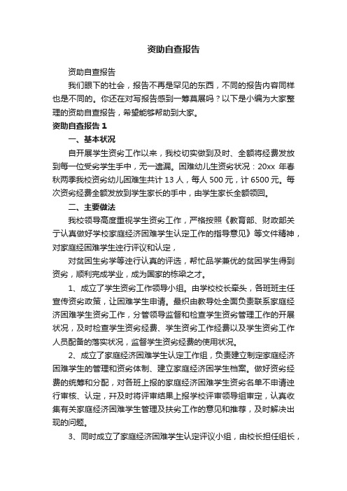 资助自查报告
