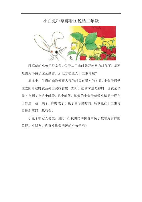 小白兔种草莓看图说话二年级