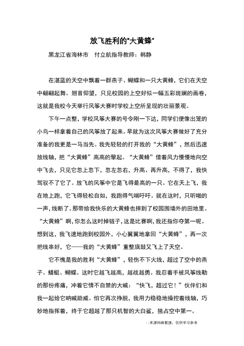 放飞胜利的“大黄蜂”_优秀作文