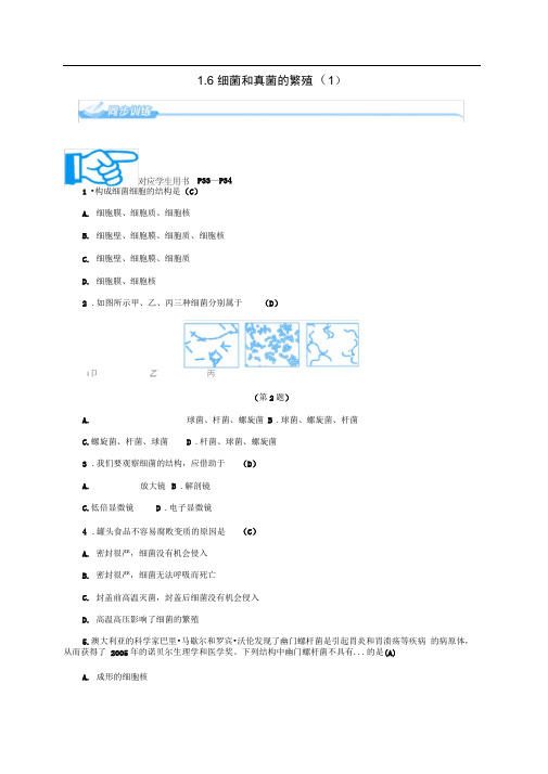 七年级科学下册1.6细菌和真菌的繁殖1同步练习新版浙教版