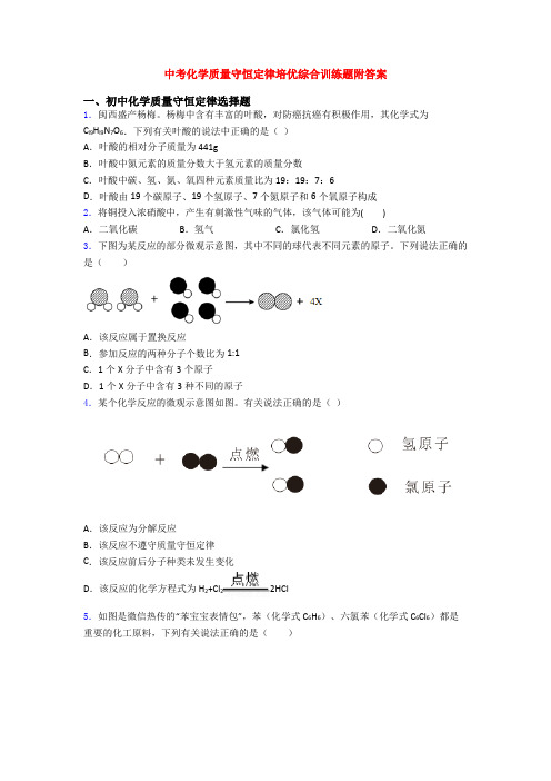 中考化学质量守恒定律培优综合训练题附答案