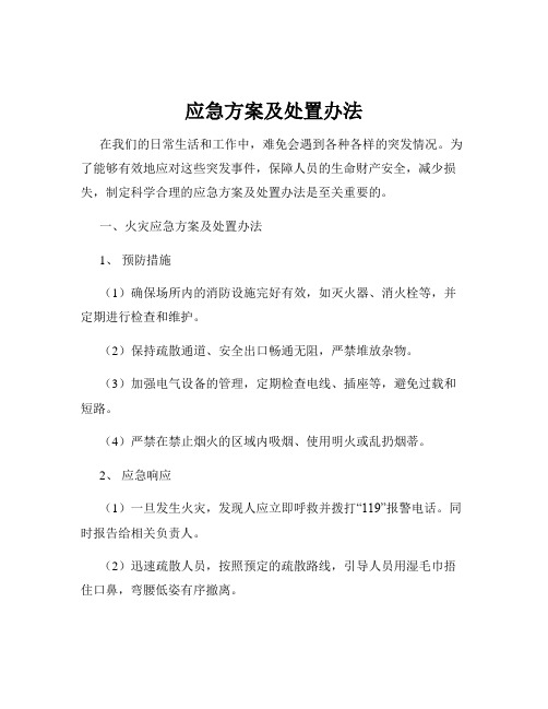 应急方案及处置办法