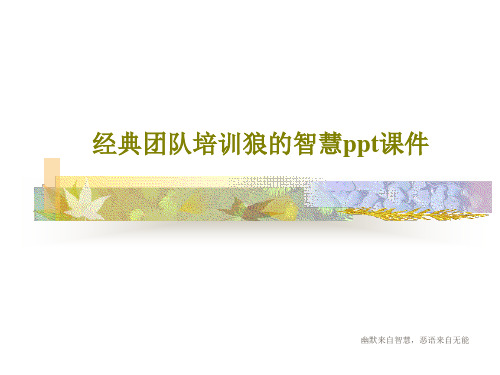 经典团队培训狼的智慧ppt课件27页PPT