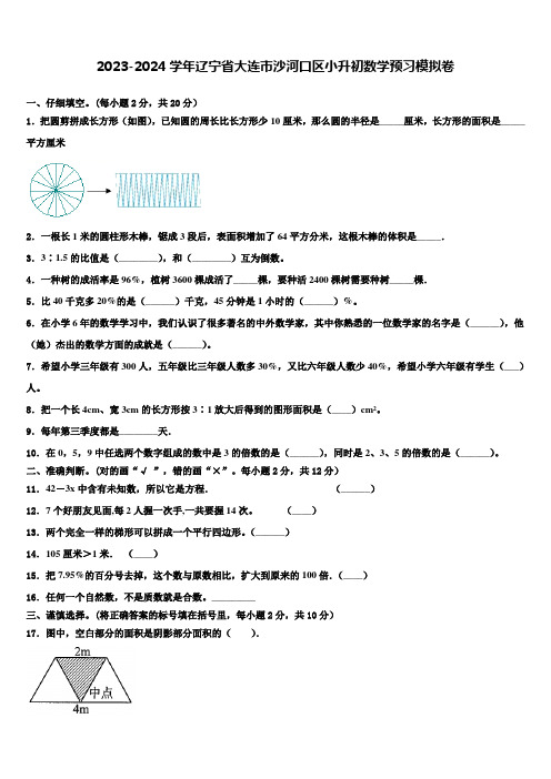 2023-2024学年辽宁省大连市沙河口区小升初数学预习模拟卷含解析