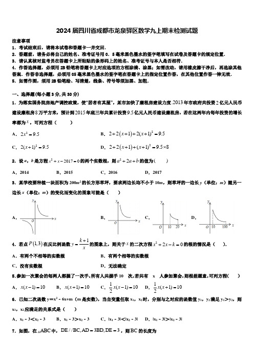 2024届四川省成都市龙泉驿区数学九上期末检测试题含解析