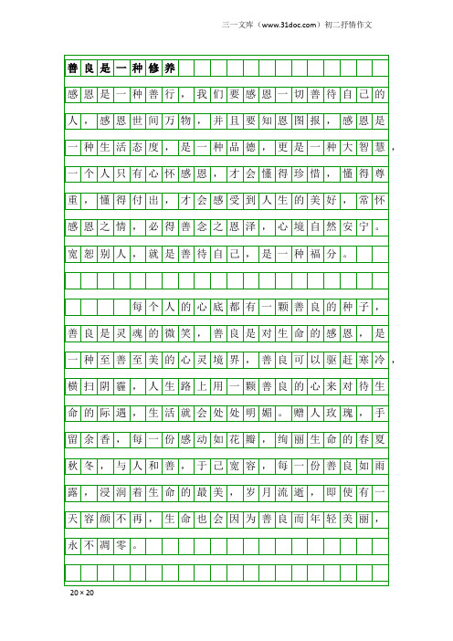 初二抒情作文：善良是一种修养