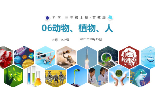 苏教版科学三年级上册06动物、植物、人 课件PPT-附教案