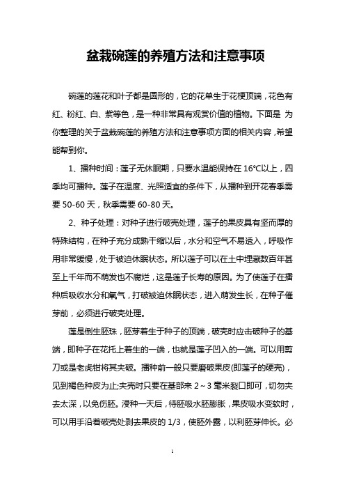 盆栽碗莲的养殖方法和注意事项