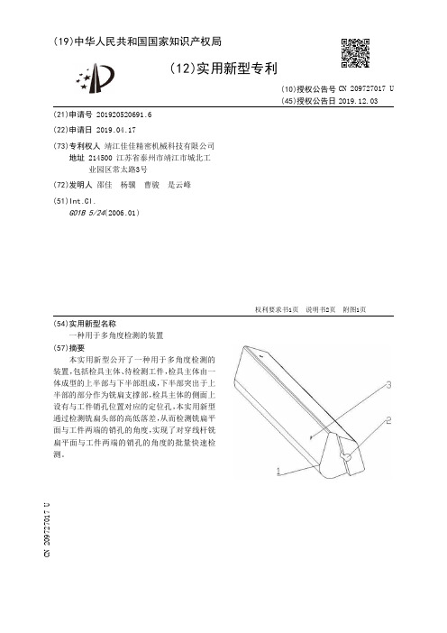 【CN209727017U】一种用于多角度检测的装置【专利】