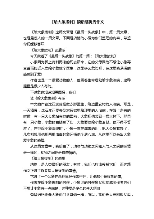 《给大象拔刺》读后感优秀作文