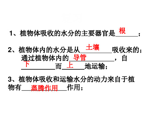 43无机盐在植物体内的代谢PPT课件