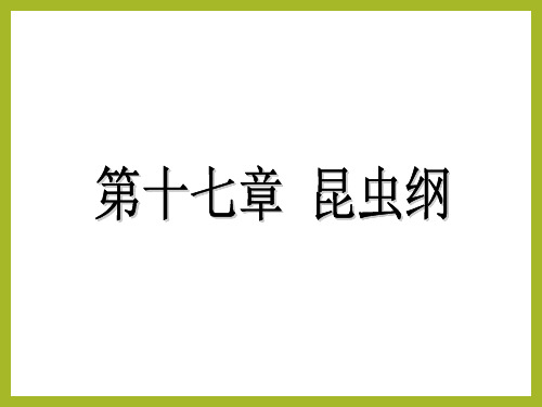 医学节肢动物蚊、蝇、蚤等