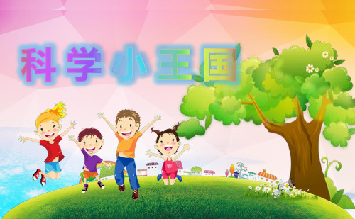 湘教版小学科学《给物体分类》公开课PPT1