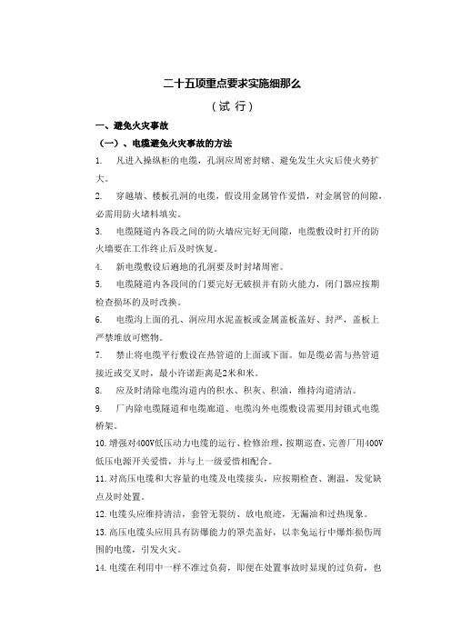 二十五项反措重点要求实施细那么