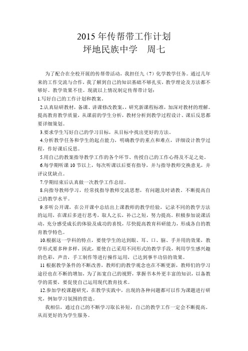 2015年传帮带计划