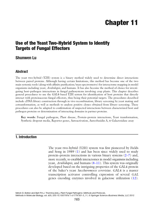 Use of the Yeast Two-Hybrid System to Identify effector